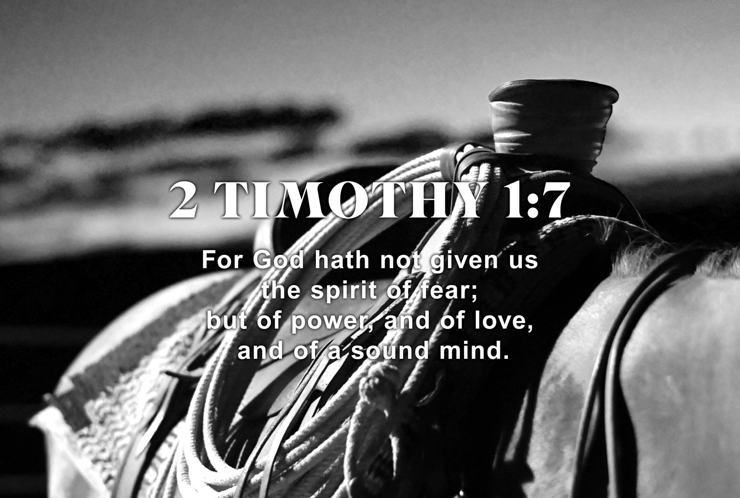 Original Verse Card - Pack of 4